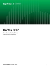 asset pdf thumbnail