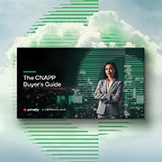 cnapp buyers guide