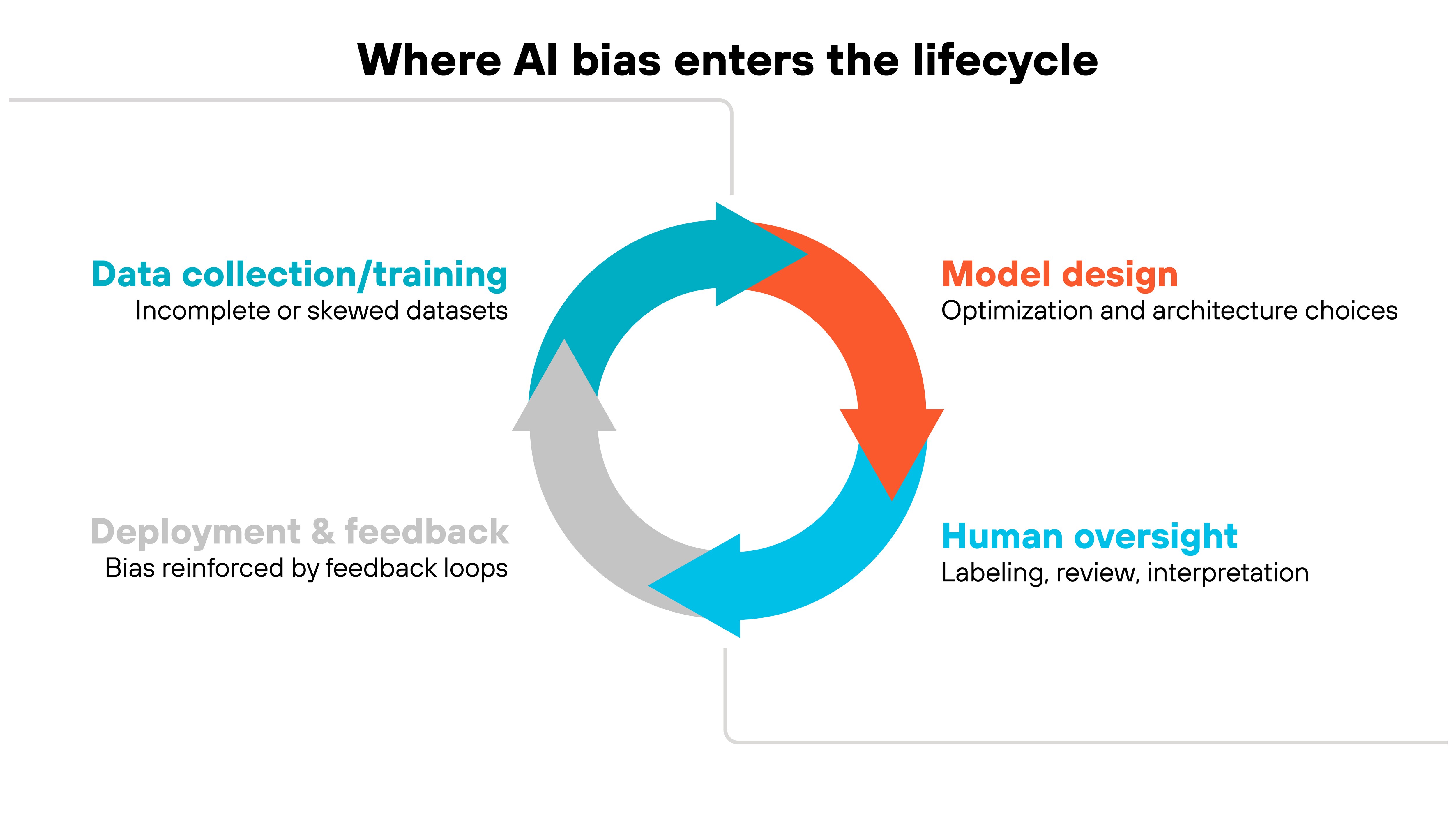 Chart titled 'Where AI bias enters the lifecycle' showing a circular flow of four connected arrows in blue, orange, and gray. The sections are labeled 'Data collection/training' with the note 'Incomplete or skewed datasets,' 'Model design' with 'Optimization and architecture choices,' 'Human oversight' with 'Labeling, review, interpretation,' and 'Deployment & feedback' with 'Bias reinforced by feedback loops.' Each label appears around the circular arrow, representing continuous stages in the AI development process.