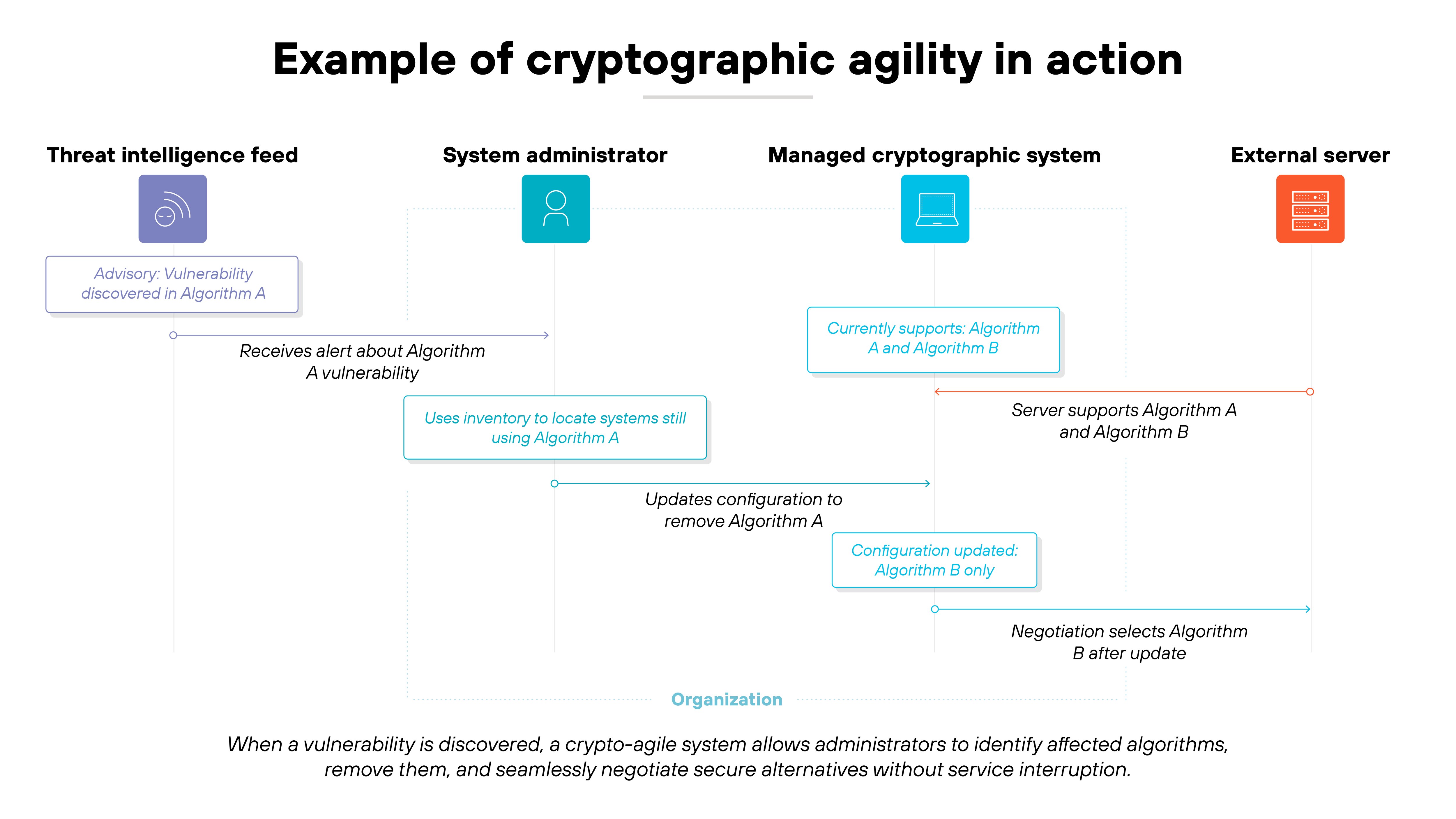 Flow diagram titled 'Example of cryptographic agility in action' showing four vertical sections labeled 'Threat Intelligence Feed,' 'System administrator,' 'Managed cryptographic system,' and 'External server.' A purple box in the first section reads 'Advisory: Vulnerability discovered in Algorithm A,' with an arrow indicating that the administrator receives an alert about Algorithm A's vulnerability. A blue callout beneath reads 'Uses inventory to locate systems still using Algorithm A,' leading to a horizontal arrow labeled 'Updates configuration to remove Algorithm A.' In the third section, a blue box labeled 'Currently supports Algorithm A and Algorithm B' changes to 'Configuration updated: Algorithm B only.' The external server section shows that the server supports 'Algorithm A and Algorithm B,' with a final arrow noting 'Negotiation selects Algorithm B after update.' A note below reads 'When a vulnerability is discovered, a crypto-agile system allows administrators to identify affected algorithms, remove them, and seamlessly negotiate secure alternatives without service interruption.'